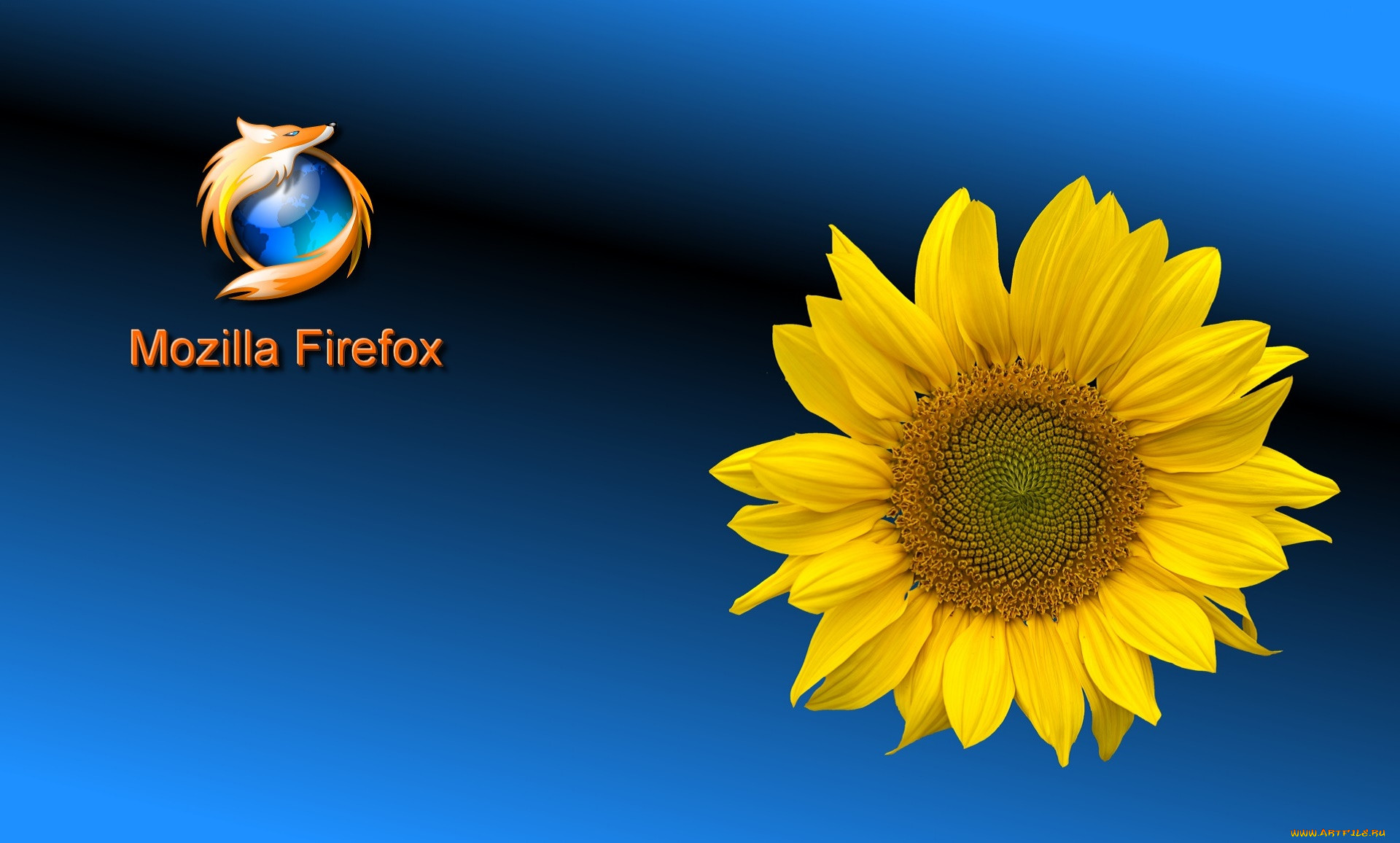 , mozilla firefox, , 